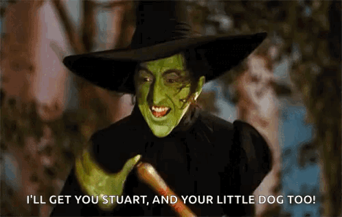 Wicked Witch Melting I'll Get You Stuart GIF