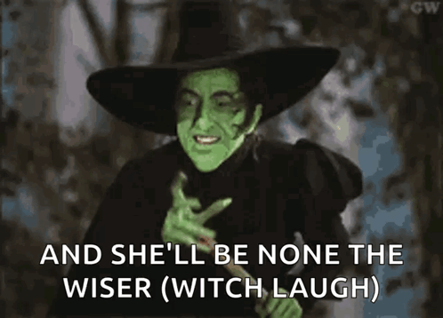 Wicked Witch Melting None The Wiser GIF
