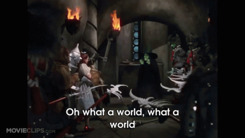 Wicked Witch Melting What World In Cave GIF