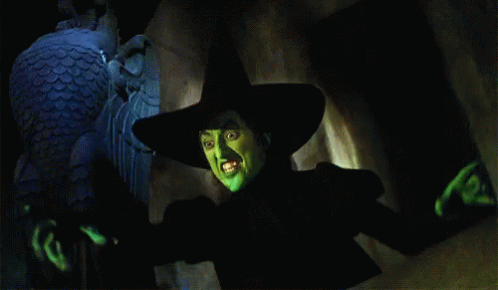 Wicked Witch Of The West Pointing Her Finger GIF