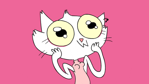 Wide Eyes Animated Cute Cat GIF
