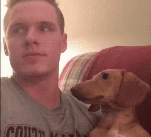 Wiener Dog Caught Staring GIF