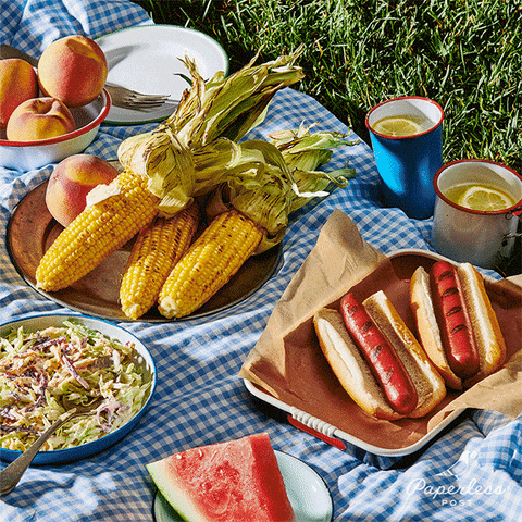 Wiener Wednesday Picnic Day GIF