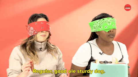 Wiener Wednesday Regular And Sturdy Hotdog GIF