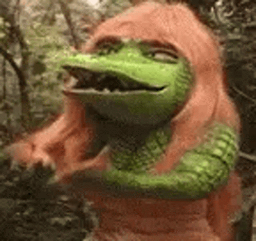 Wig Explain Girl Crocodile GIF