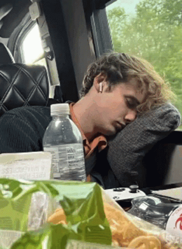 Wilbur Soot And Cat Sleeping GIF