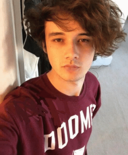 Wilbur Soot Cat Selfie GIF