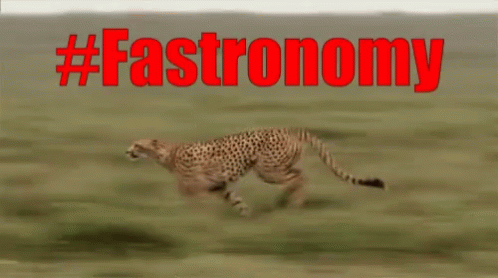 Wild Cat Cheetah Running Fast GIF