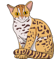 Wild Cat Leopard Cat Sticker GIF