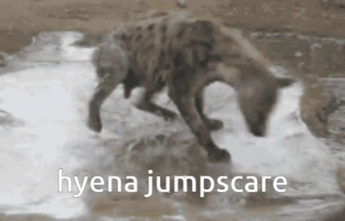 Wild Hyena Jumpscare GIF