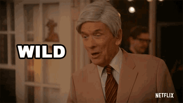 Wild I Think You Should Leave With Tim Robinson Gif GIF