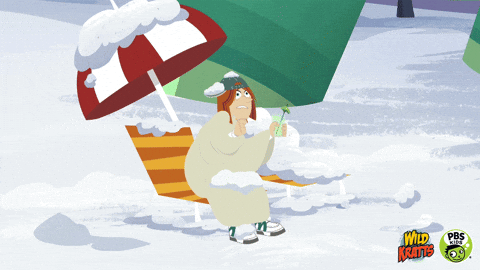 Wild Kratts Pbs Kids GIF