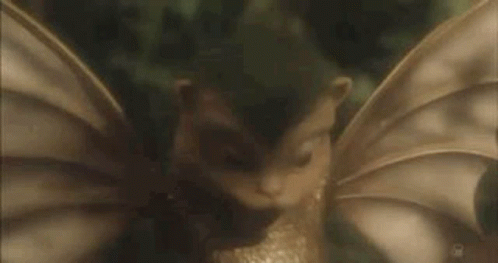Wild Things Bat Teeth GIF