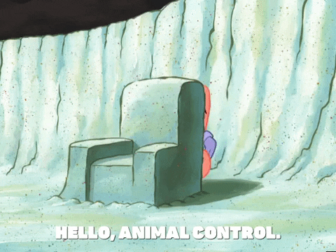 Wild Things Scared Patrick GIF