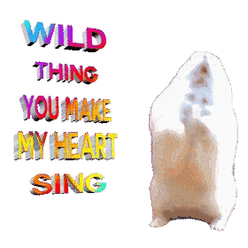 Wild Things You Make My Heart Sing GIF