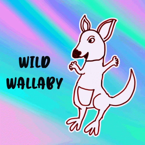 Wild Wallaby Kangaroo Drawing
