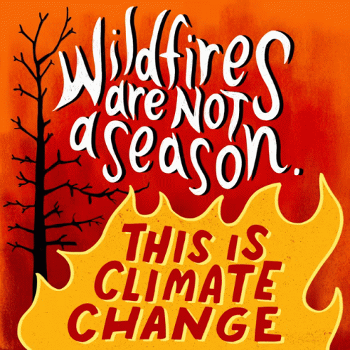 Wildfire Not Season Graphics Design GIF