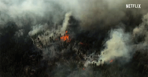 Wildfire Panoramic View Burning Hazy Forest GIF