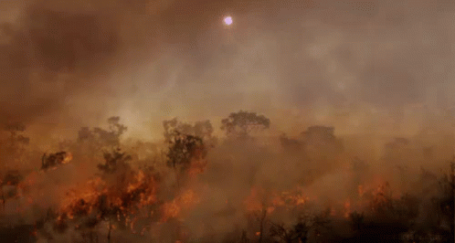Wildfire Smokey Forest Dark Clouds Above GIF