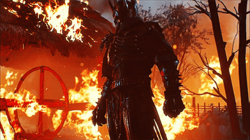 Wildfire The Witcher Wild Hunt GIF