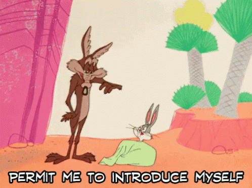 Wile E Coyote And Bugs Bunny GIF