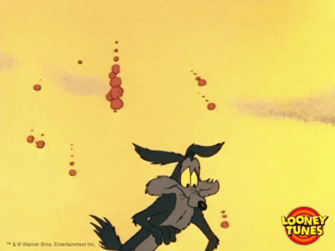 Wile E Coyote GIF