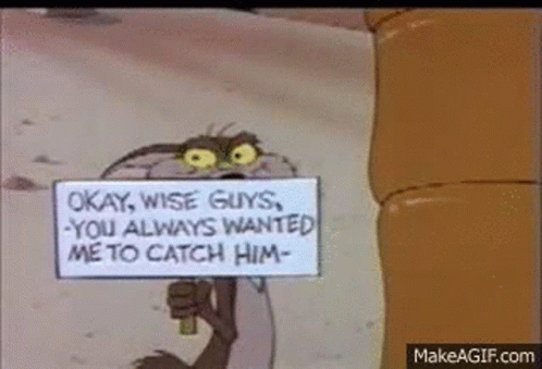 Wile E Coyote Catches Roadrunner Coyote Catches Road Runner GIF