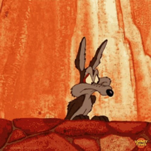 Wile E Coyote From Looney Tunes Is Standing On A Rock GIF