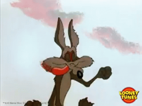 Wile E. Coyote Holding Boomerang in Mouth