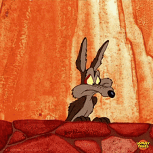 Wile E. Coyote Looney Tunes Sitting on Rock