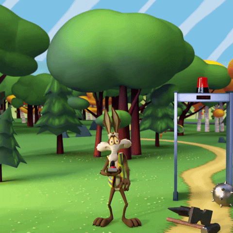 Wile E Coyote Looney Tunes GIF