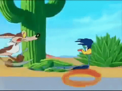 Wile E Coyote Sad Chasing Road Runner GIF