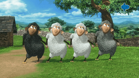 Wiley The Sheep Dancing GIF