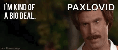 Will Ferrell Im Kind Of A Big Deal GIF