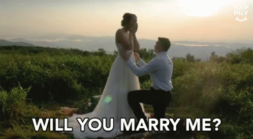 Will You Marry Me Darling GIF
