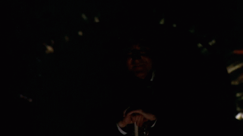 Willy Wonka Scary Boat Wonkatania GIF