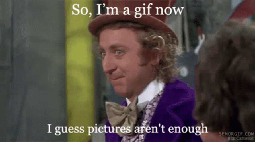 Willy Wonka Pictures Aren't Enough GIF