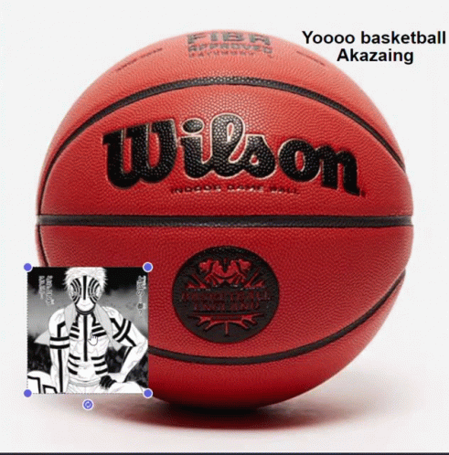 Wilson Authentic Wilson Basketball GIF