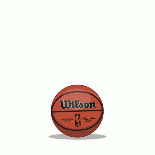 Wilson Basketball Floating