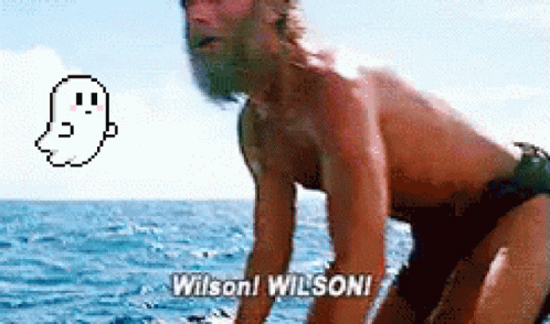 Wilson Cast Away Tom Hanks Meme GIF