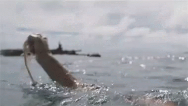 Wilson Tom Hanks Cast Away Funny Meme GIF