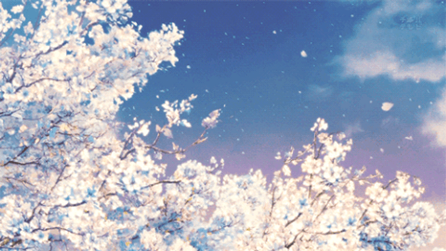 Wind Blowing Sakura Tree Anime Scenery GIF 
