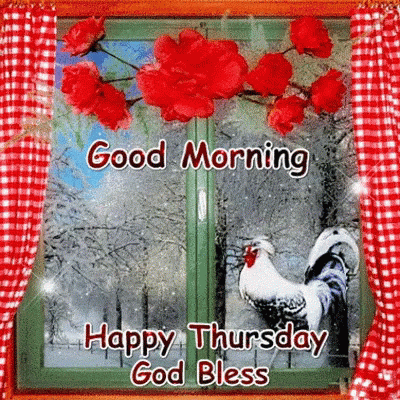 Window With Red Flowers and Rooster Good Morning Happy Thursday God Bless