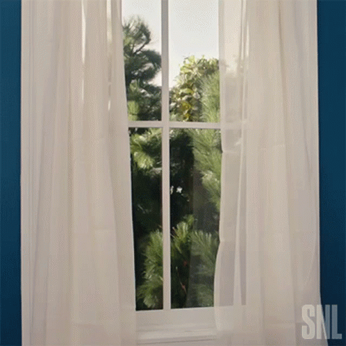 Window With SNL Bottom Right GIF