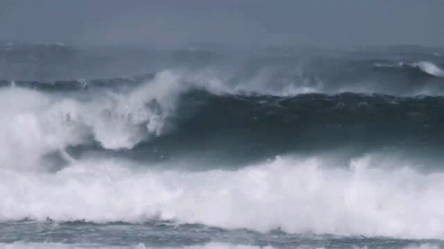 Windsurfing Giant Wave GIF