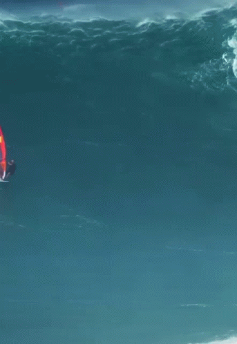 Windsurfing Wipes Out GIF