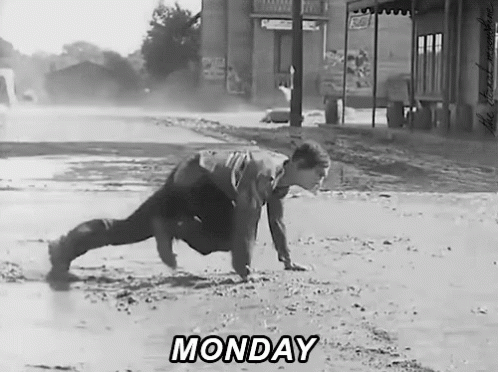 Windy Monday GIF