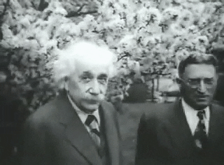 Windy Outside Albert Einstein GIF