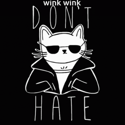 Wink Wink Don't Hate Cat GIF