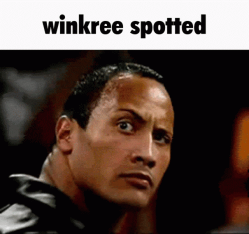 Winkree Spotted Above Man's Face GIF